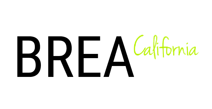 Partner Brea Police